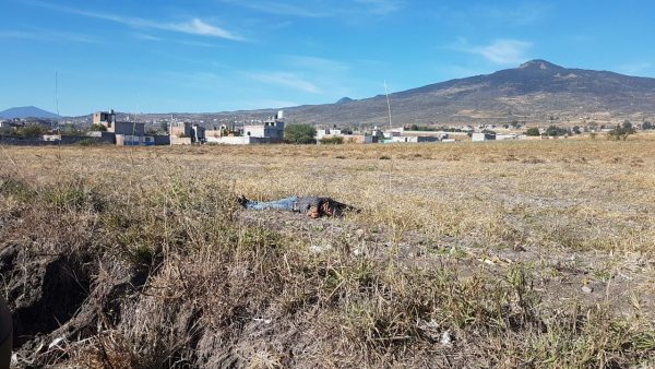 Hallan cadáver en el Zona Norte de Morelia - Primera Plana Noticias